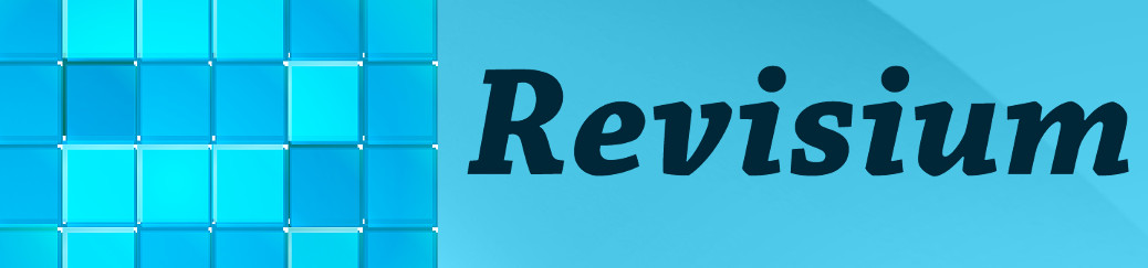 Revisium